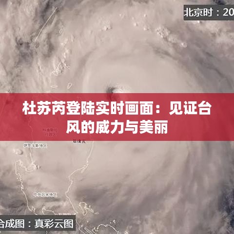 豪门贵胄 第3页