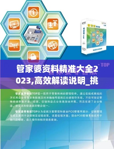 管家婆资料精准大全2023,高效解读说明_挑战版4.555