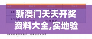 新澳门天天开奖资料大全,实地验证分析数据_顶级款3.576