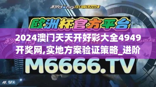 2024澳门天天开好彩大全4949开奖网,实地方案验证策略_进阶版10.738