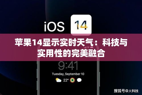草率从事 第3页