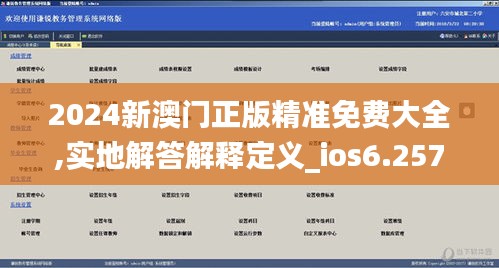 2024新澳门正版精准免费大全,实地解答解释定义_ios6.257