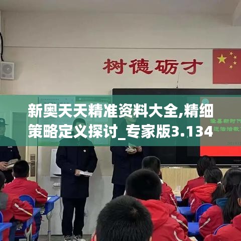 新奥天天精准资料大全,精细策略定义探讨_专家版3.134