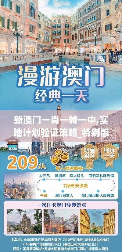 新澳门一肖一特一中,实地计划验证策略_特别版8.382