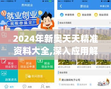 2024年新奥天天精准资料大全,深入应用解析数据_钱包版1.563
