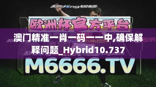 澳门精准一肖一码一一中,确保解释问题_Hybrid10.737