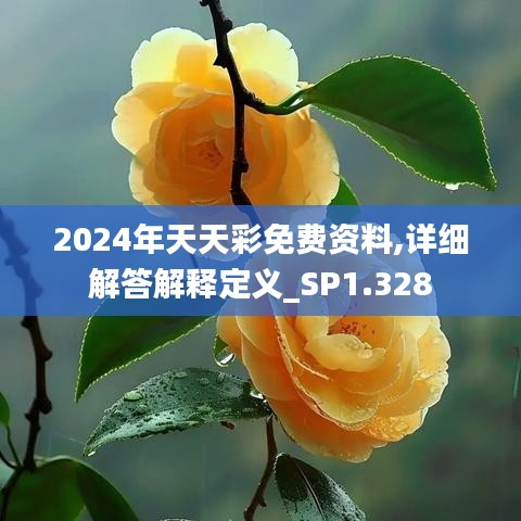 2024年天天彩免费资料,详细解答解释定义_SP1.328