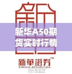 新华A50期货实时行情：解读市场动态与投资策略