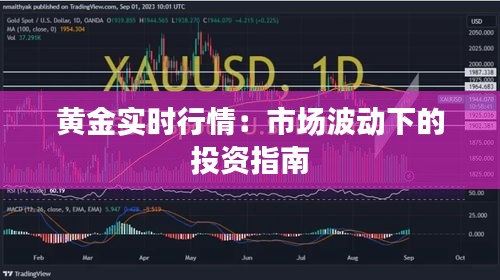 黄金实时行情：市场波动下的投资指南