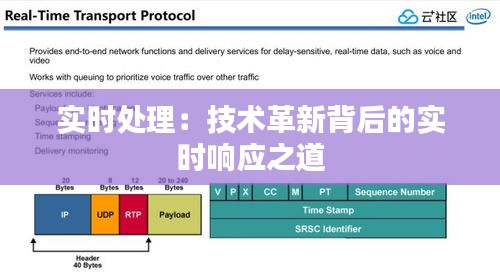 实时处理：技术革新背后的实时响应之道