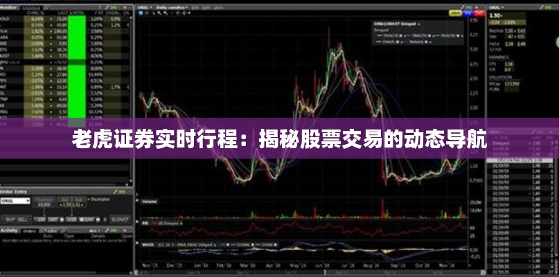 老虎证券实时行程：揭秘股票交易的动态导航