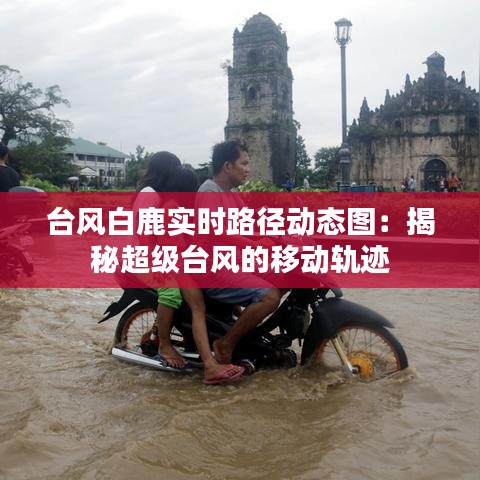 台风白鹿实时路径动态图：揭秘超级台风的移动轨迹