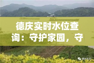 德庆实时水位查询：守护家园，守护安全