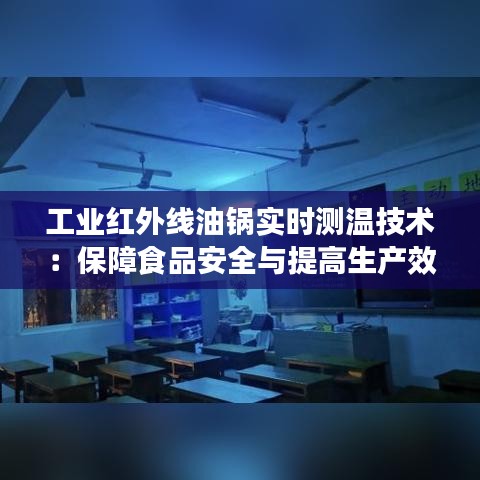 工业红外线油锅实时测温技术：保障食品安全与提高生产效率
