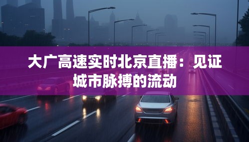 大广高速实时北京直播：见证城市脉搏的流动