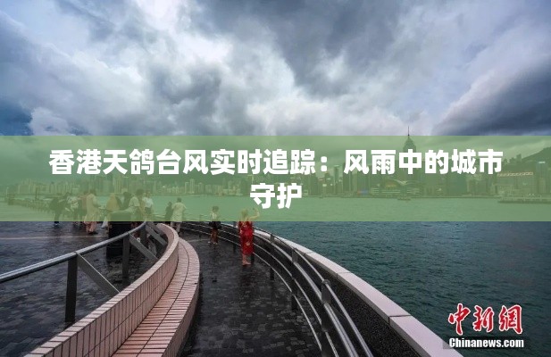 香港天鸽台风实时追踪：风雨中的城市守护
