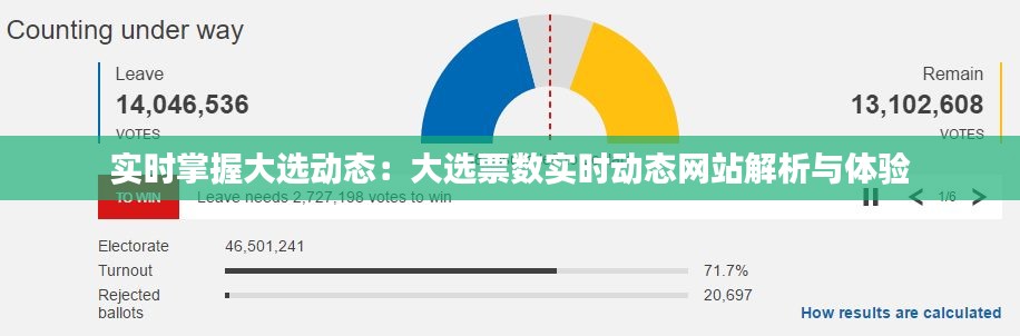 实时掌握大选动态：大选票数实时动态网站解析与体验