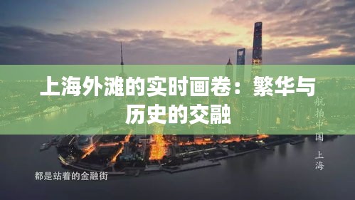 上海外滩的实时画卷：繁华与历史的交融