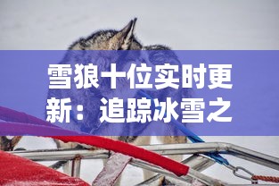 家成业就 第2页