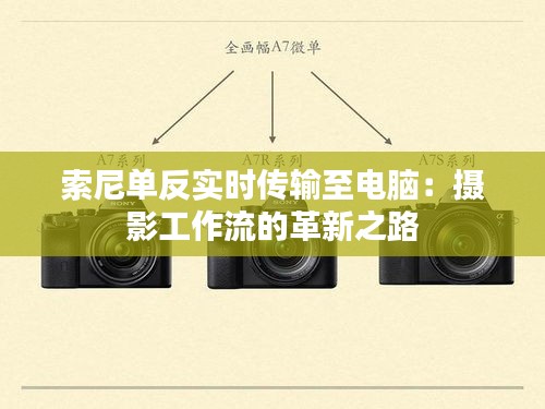 东张西望 第2页