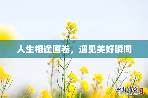 人生相逢画卷，遇见美好瞬间