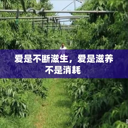 爱是不断滋生，爱是滋养不是消耗 