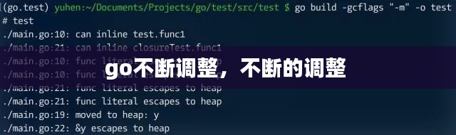 go不断调整，不断的调整 