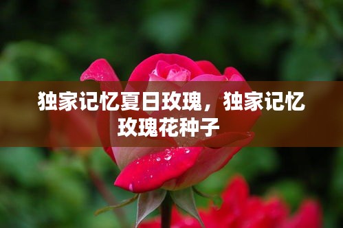 眉飞色舞 第2页