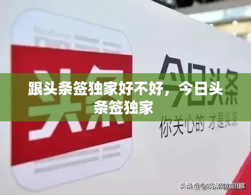 跟头条签独家好不好，今日头条签独家 