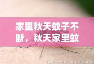 比翼鸟 第2页