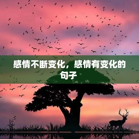 感情不断变化，感情有变化的句子 