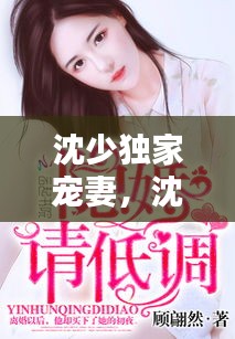沈少独家宠妻，沈少宠妻如命 小说 