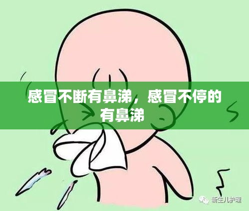 寥若晨星 第2页