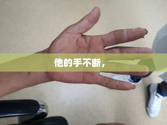 鸟吏鼈官 第2页