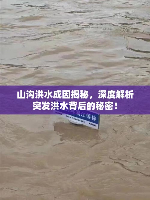 山沟洪水成因揭秘，深度解析突发洪水背后的秘密！