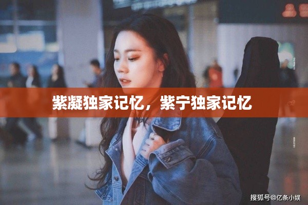 紫凝独家记忆，紫宁独家记忆 