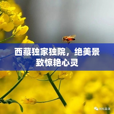 萍水相逢 第2页