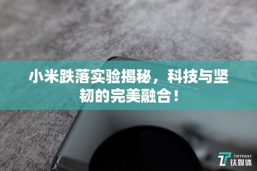 张灯挂彩 第2页