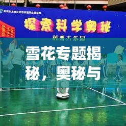 雪花专题揭秘，奥秘与魅力的探索之旅