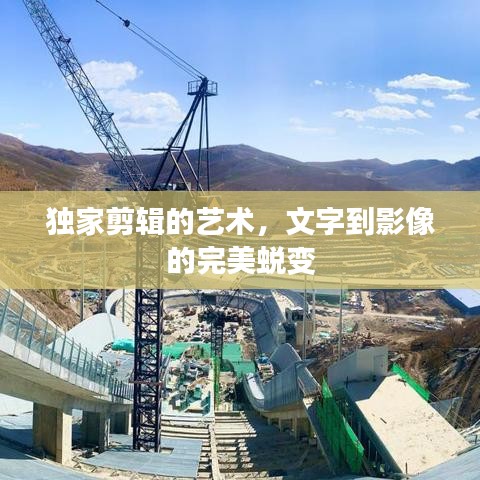 独家剪辑的艺术，文字到影像的完美蜕变
