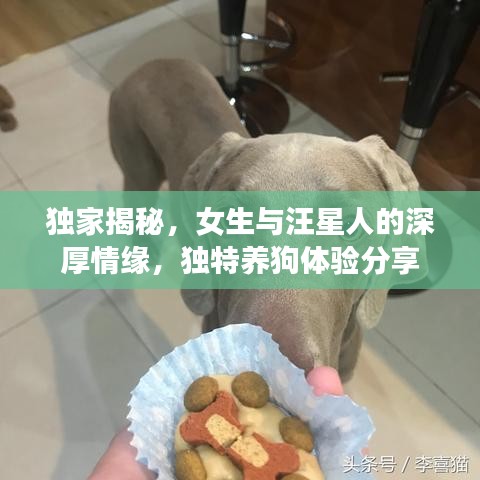 独家揭秘，女生与汪星人的深厚情缘，独特养狗体验分享