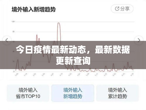 今日疫情最新动态，最新数据更新查询