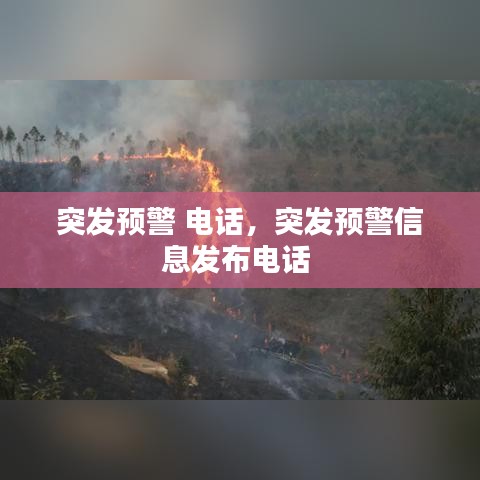 突发预警 电话，突发预警信息发布电话 