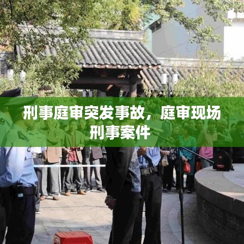 刑事庭审突发事故，庭审现场刑事案件 