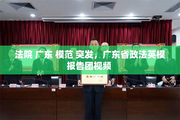法院 广东 模范 突发，广东省政法英模报告团视频 