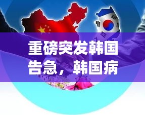 重磅突发韩国告急，韩国病情爆发 