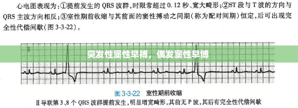突发性窦性早搏，偶发窦性早博 