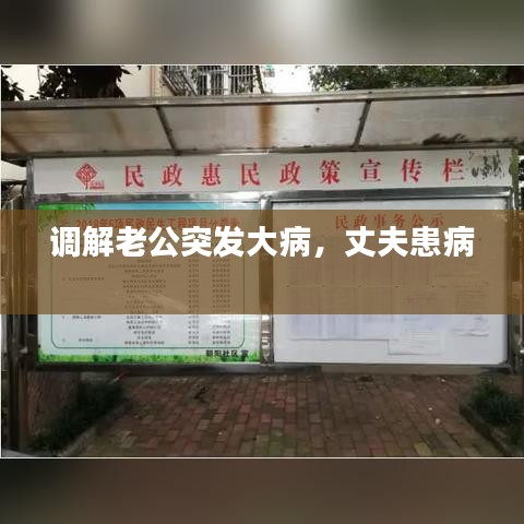 调解老公突发大病，丈夫患病 