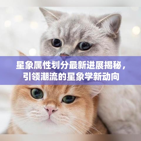 星象属性划分最新进展揭秘，引领潮流的星象学新动向