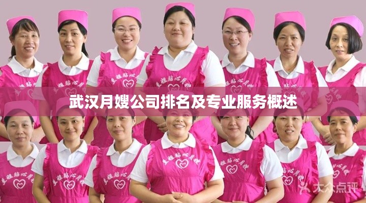 武汉月嫂公司排名及专业服务概述